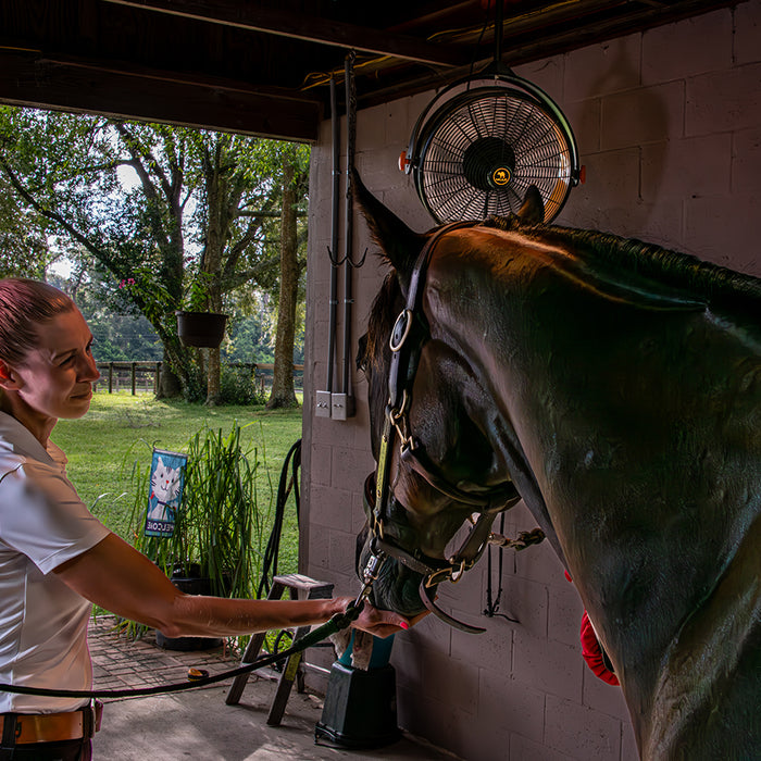 Gail Caban Horse Barn Florida with Garage Fan from Mule Products