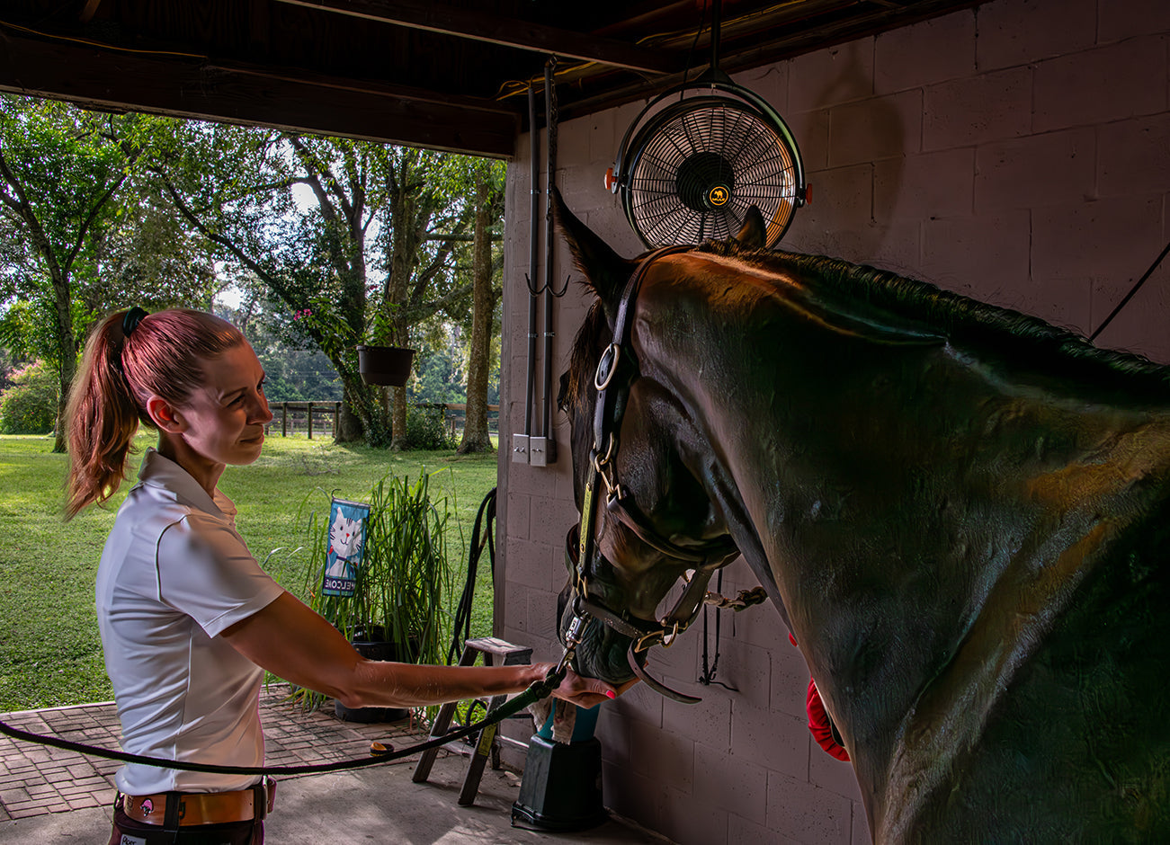 Gail Caban Horse Barn Florida with Garage Fan from Mule Products