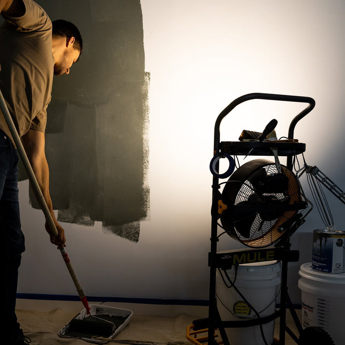 Shedding Light on Lumens: How to Brighten Up Your Workspace