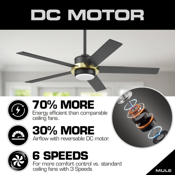 52" MULE Bravar Matte Black and Gold Ceiling Fan