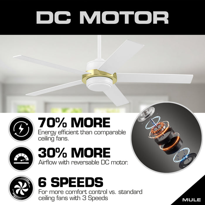 52" MULE Bravar White Gold Ceiling Fan