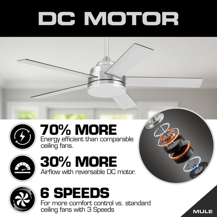 52 Inch MULE Carver Brushed Nickel Indoor Ceiling Fan