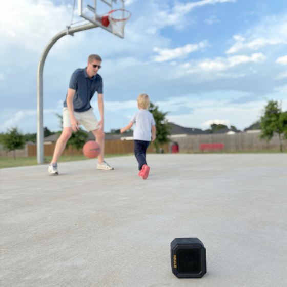 MULE Portable Wireless Speaker