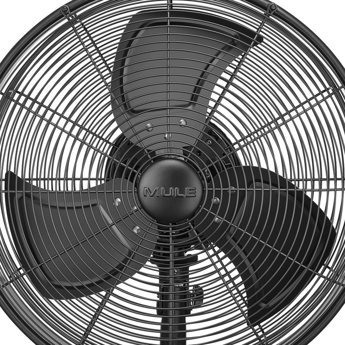 Black matte Mule fan on a white background
