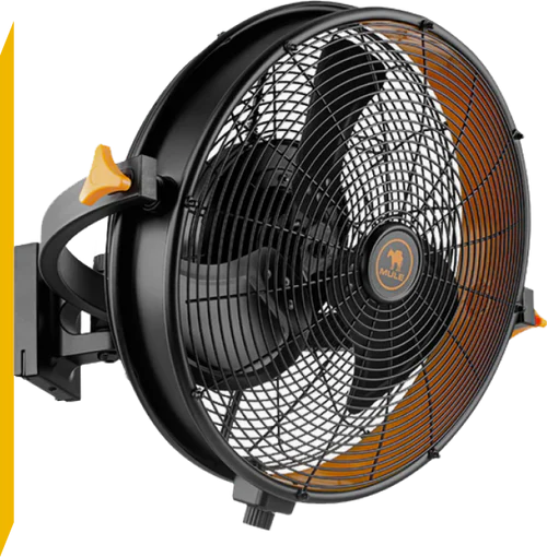 Product Comparison Image
