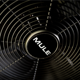MULE Swag Plug-in Ceiling Fan