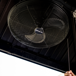 MULE Swag Plug-in Ceiling Fan